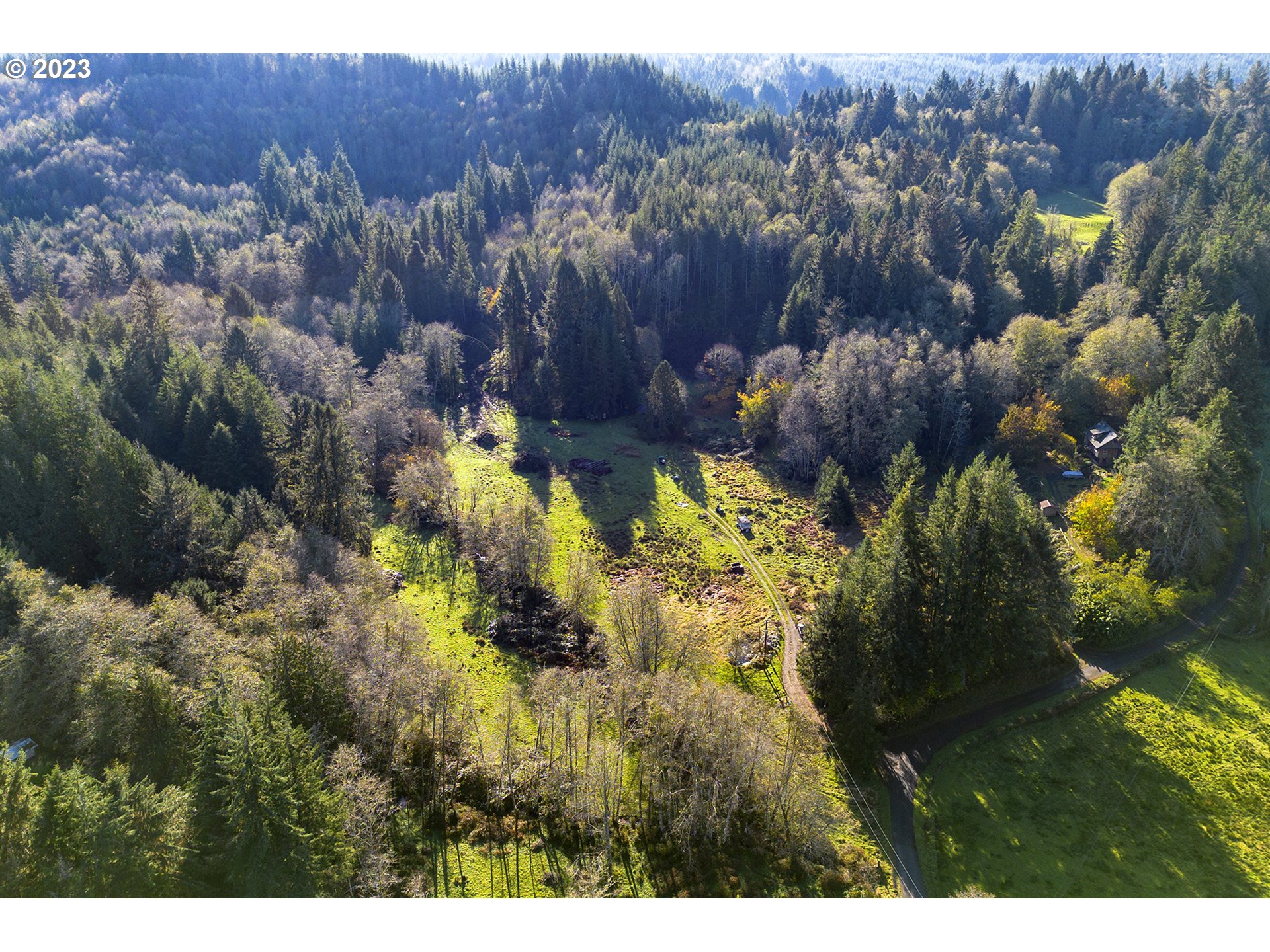 Aerial view of a forested property with a grassy clearing, winding drive, and secluded cabin.