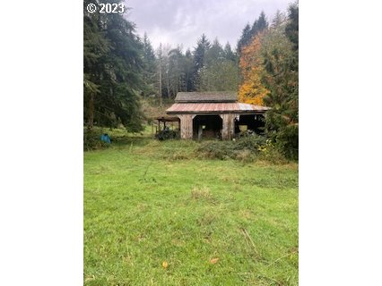 Rustic open-sided wooden outbuilding in a grassy clearing surrounded by trees.