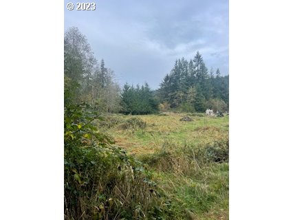Grassy property clearing bordered by trees and shrubs beneath a cloudy sky.