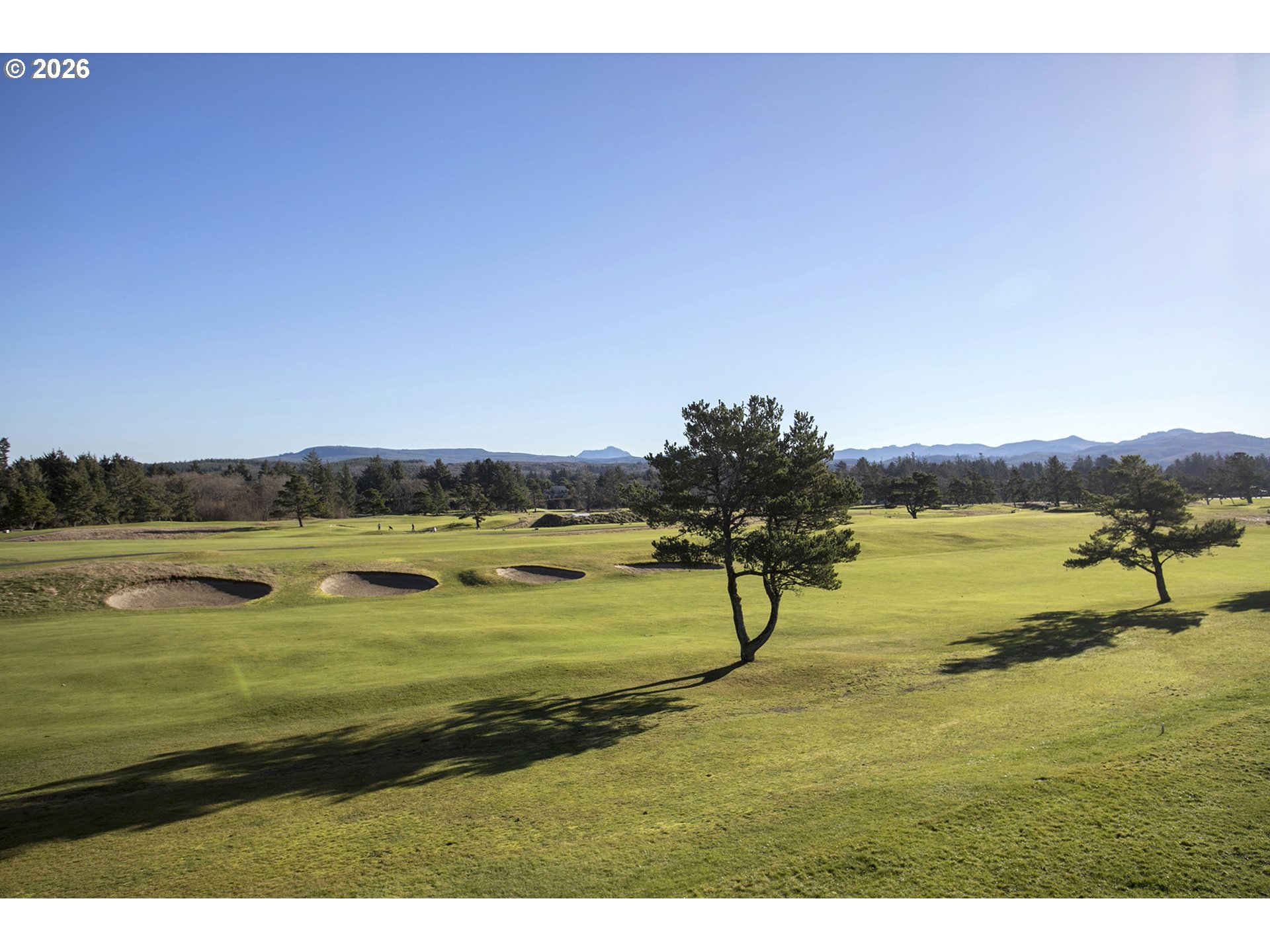 1987 GEARHART GREEN DR Unit: 704