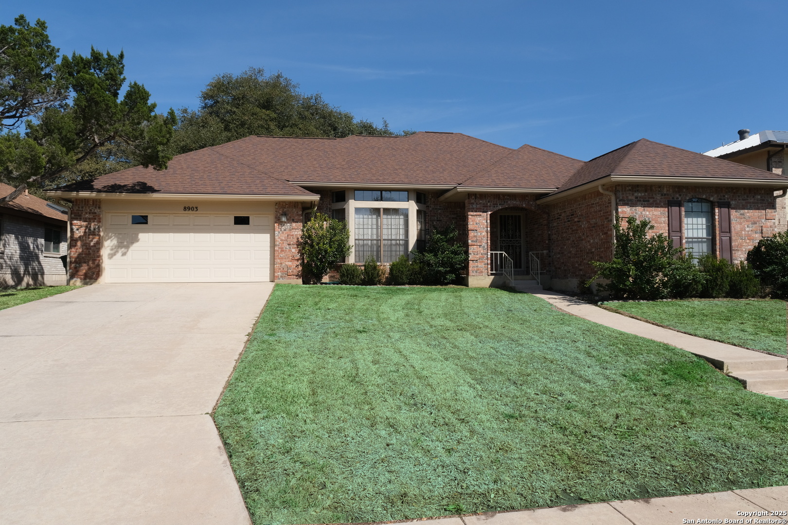 8903 Shady Leaf