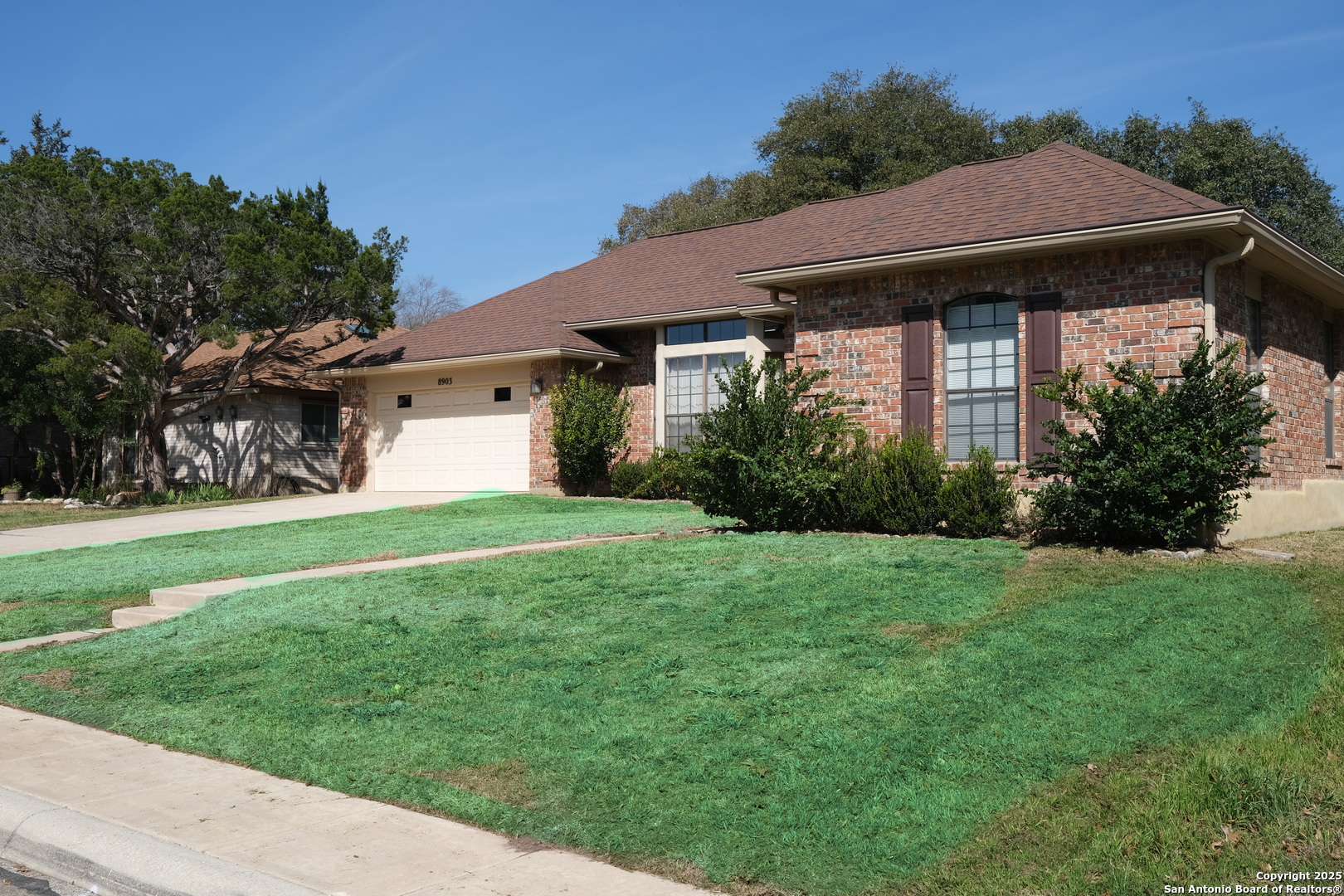 8903 Shady Leaf