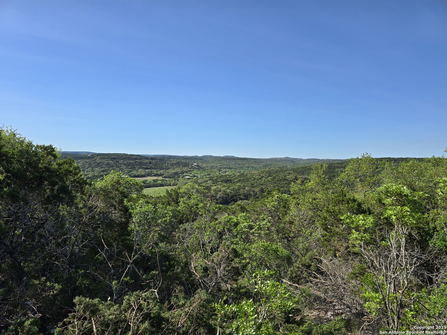 9841 Tower View