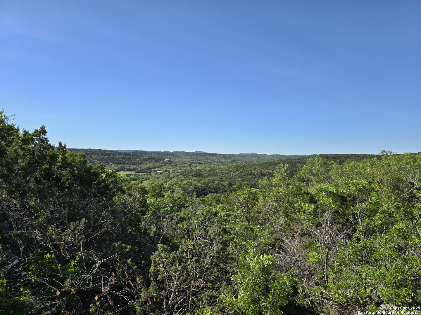 9841 Tower View