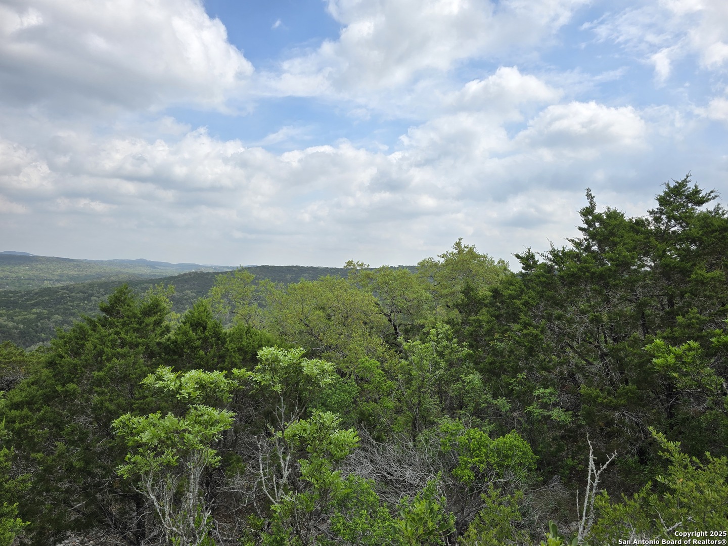 9841 Tower View