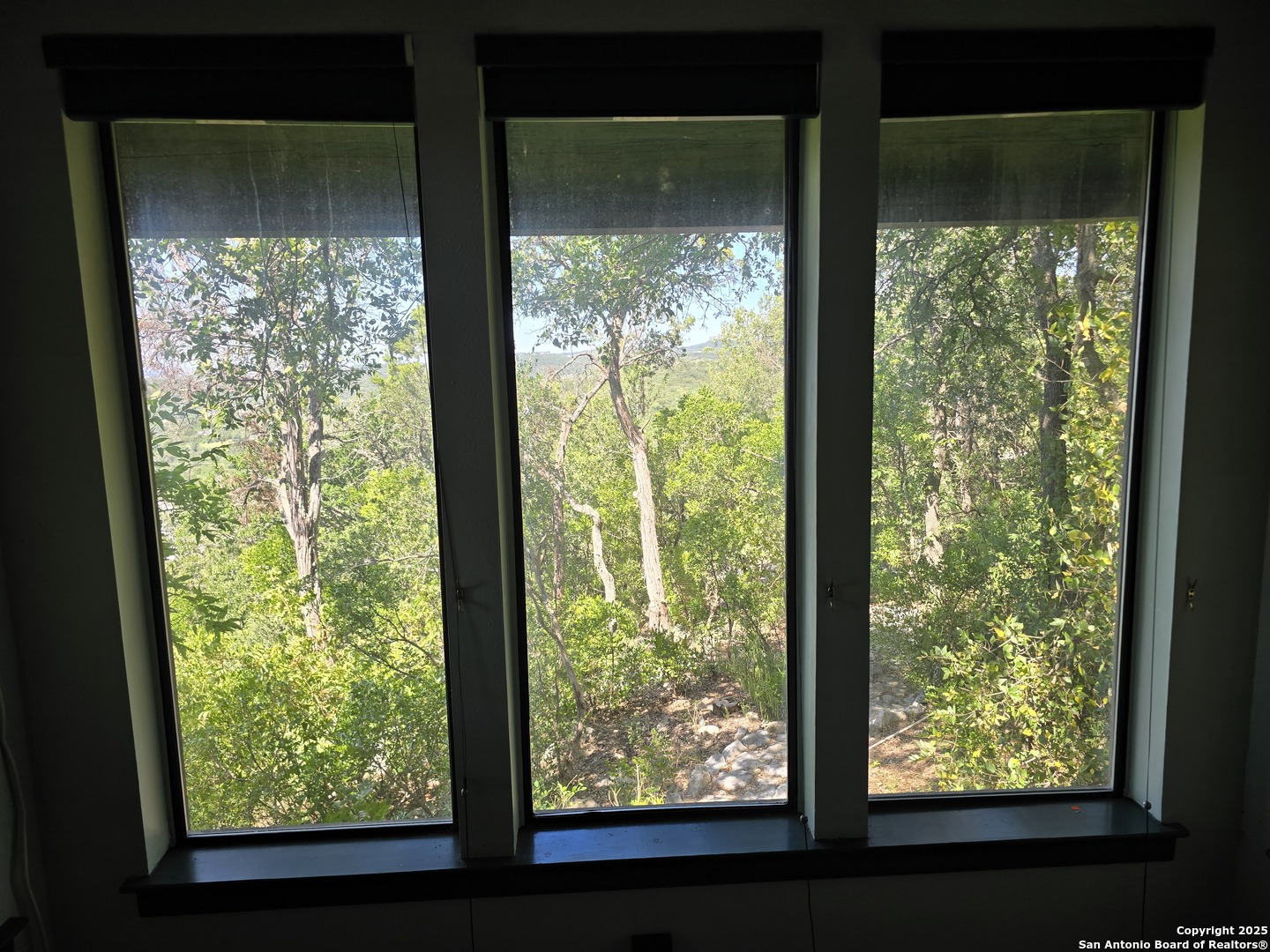 9840 Tower View