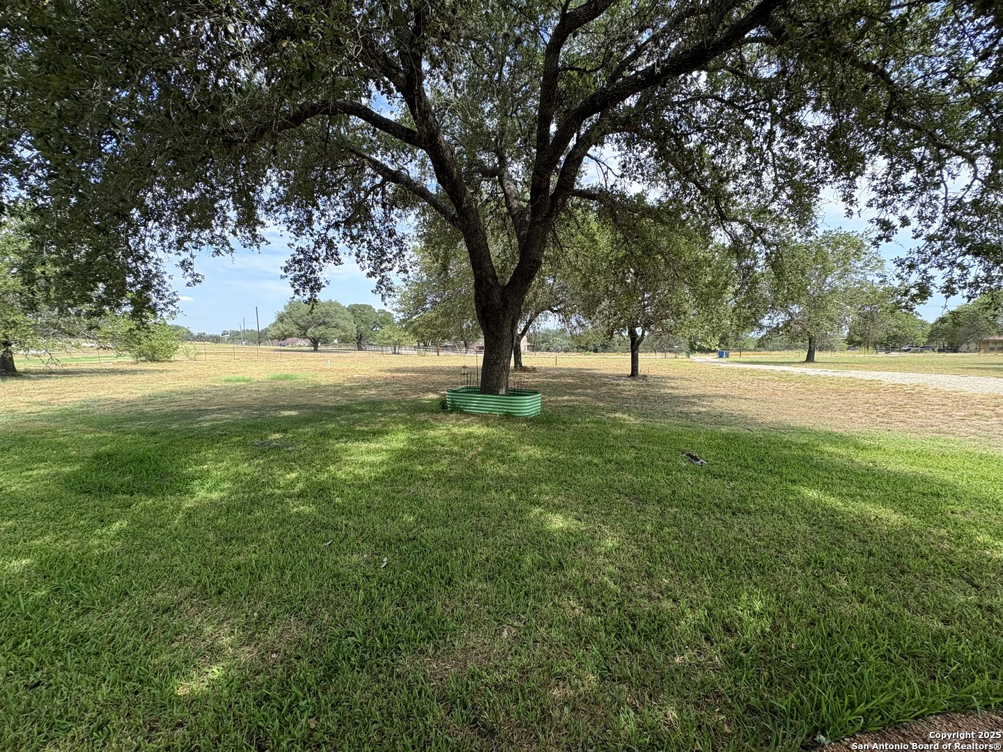 158 Big Oak