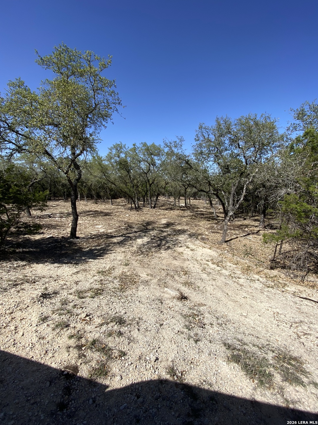 970 W Branch