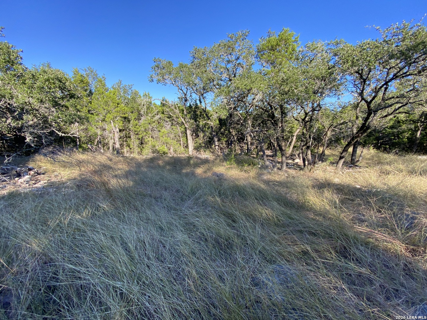 970 W Branch