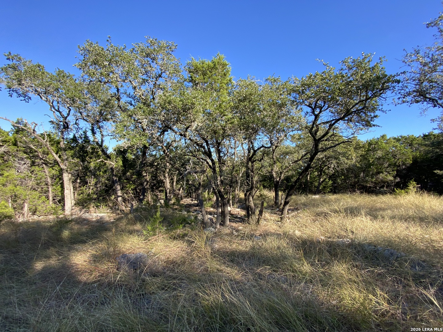 970 W Branch