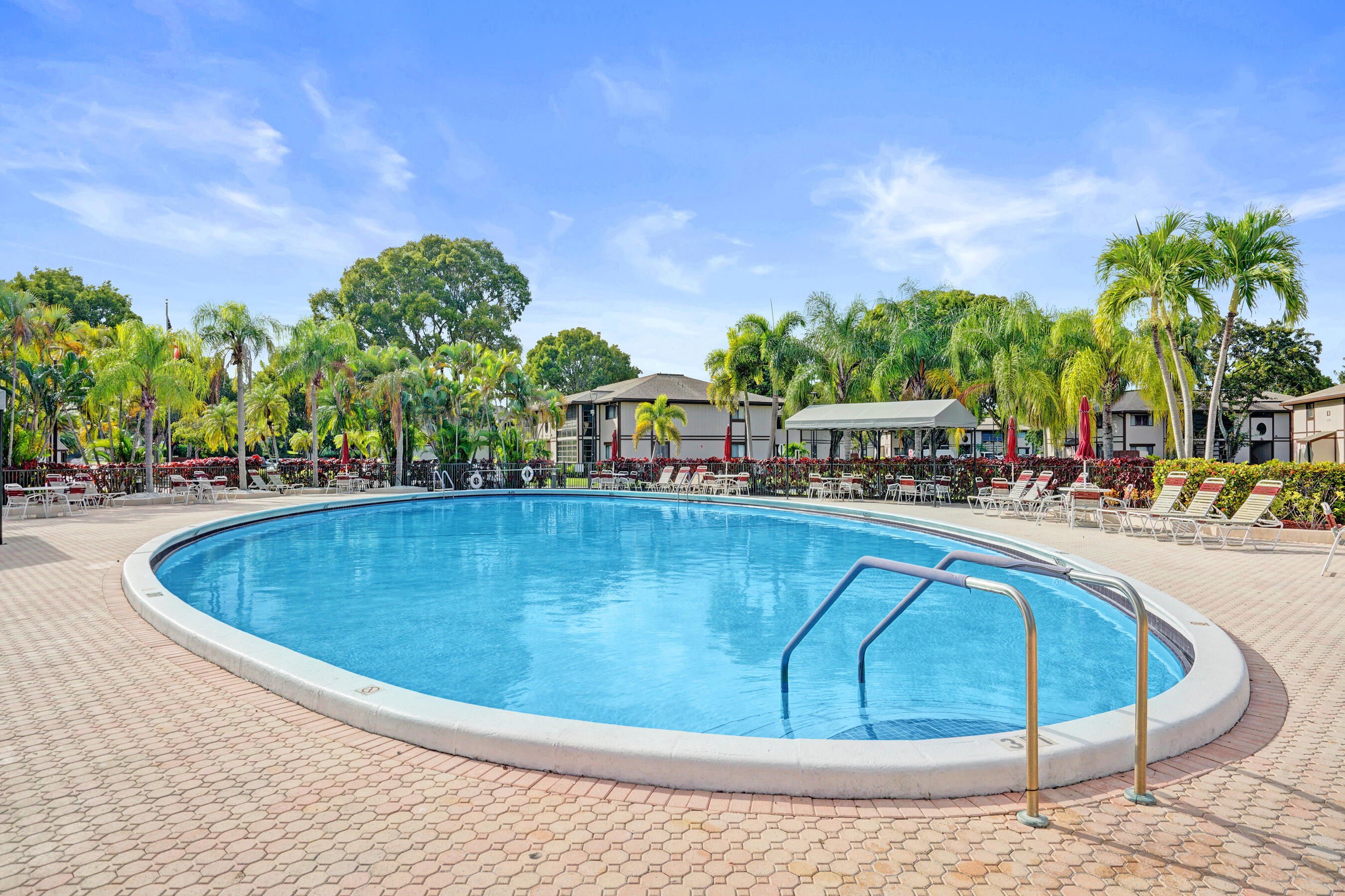 Community swimming pool with curved edge, metal handrails, lounge chairs, and surrounding palm trees.