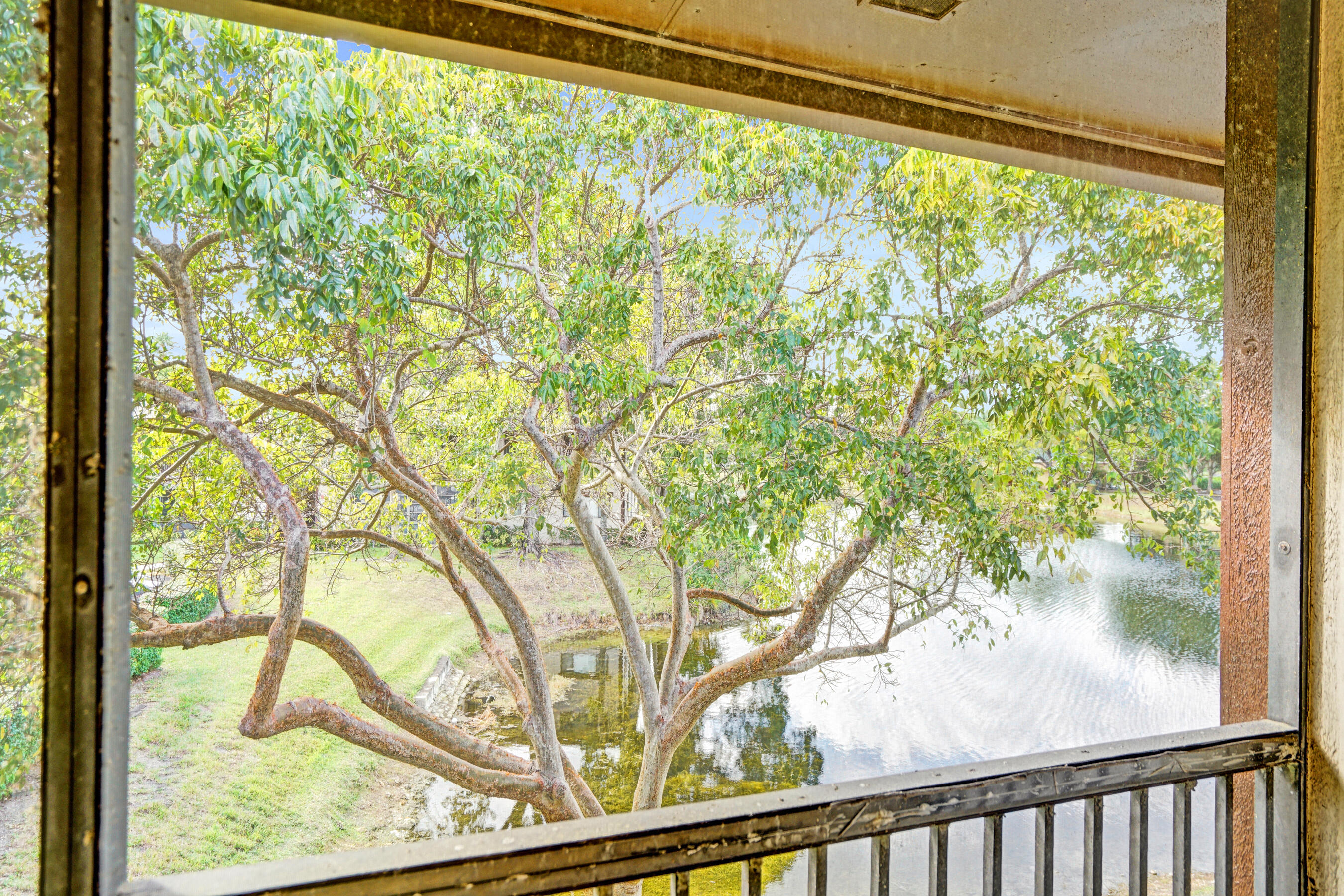 Tree branches frame a pond view from a screened balcony.