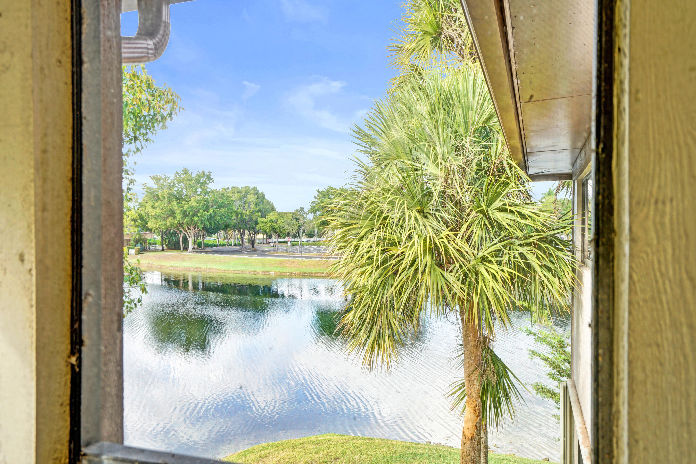 Lake view framed by a window, with a palm tree beside the water.