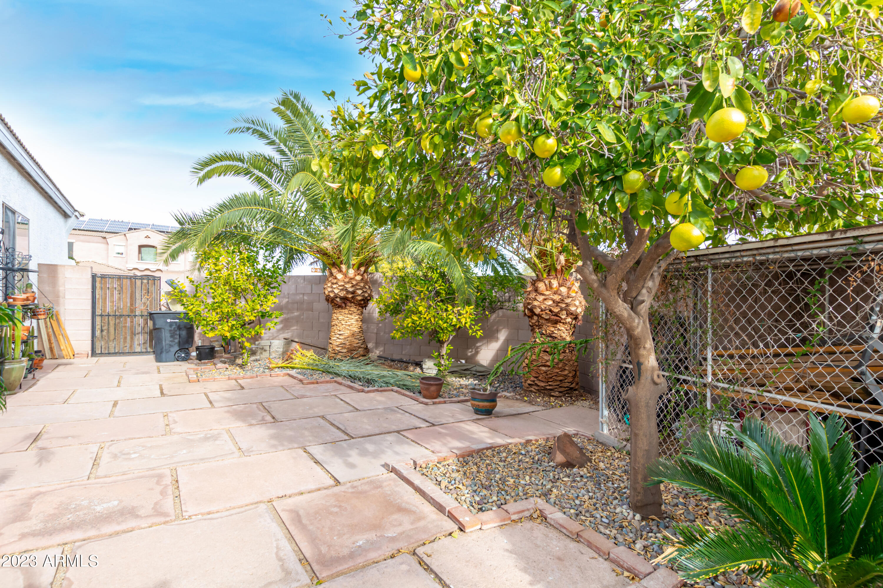 3163 E BUENA VISTA Drive