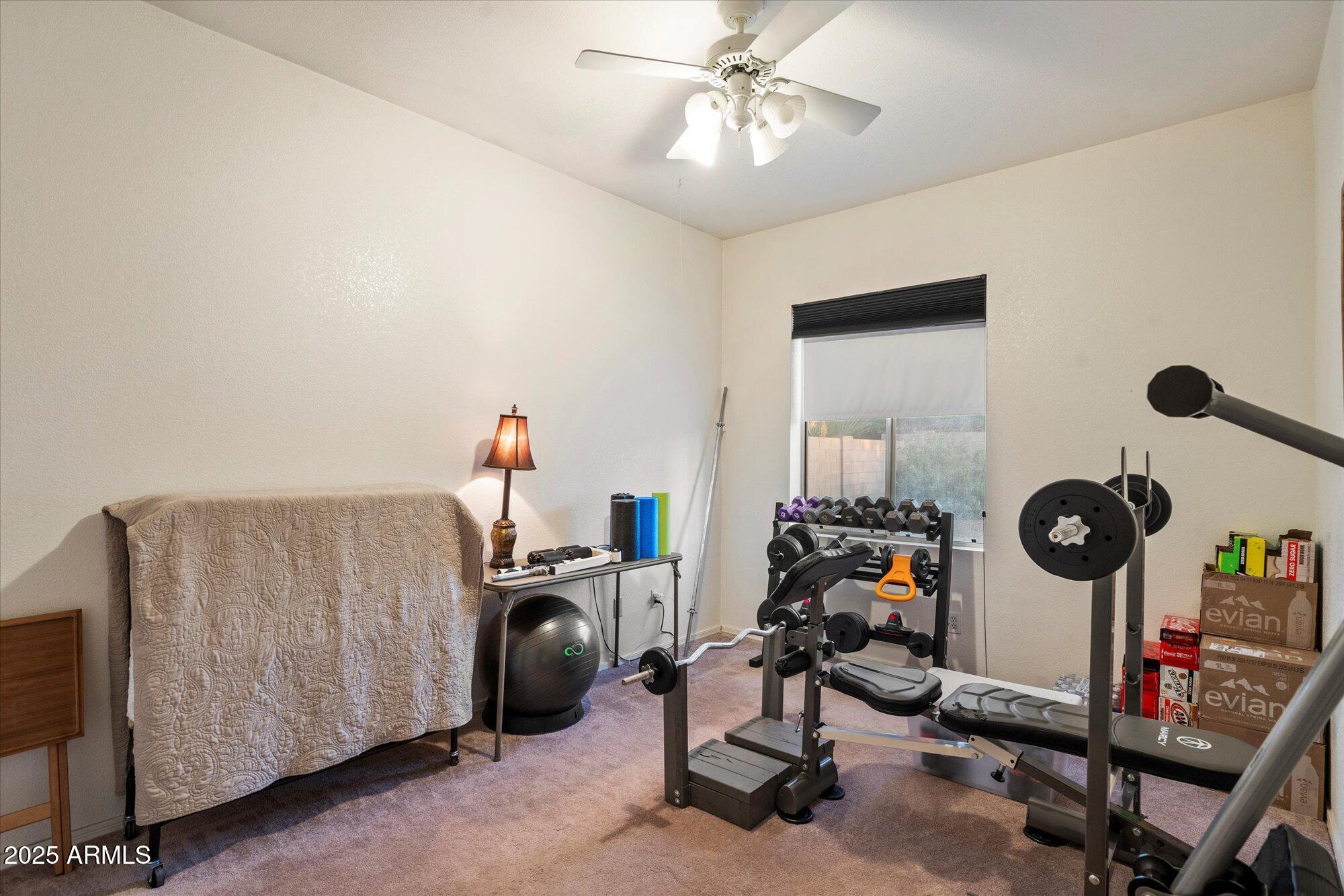 729 W Sandra Terrace