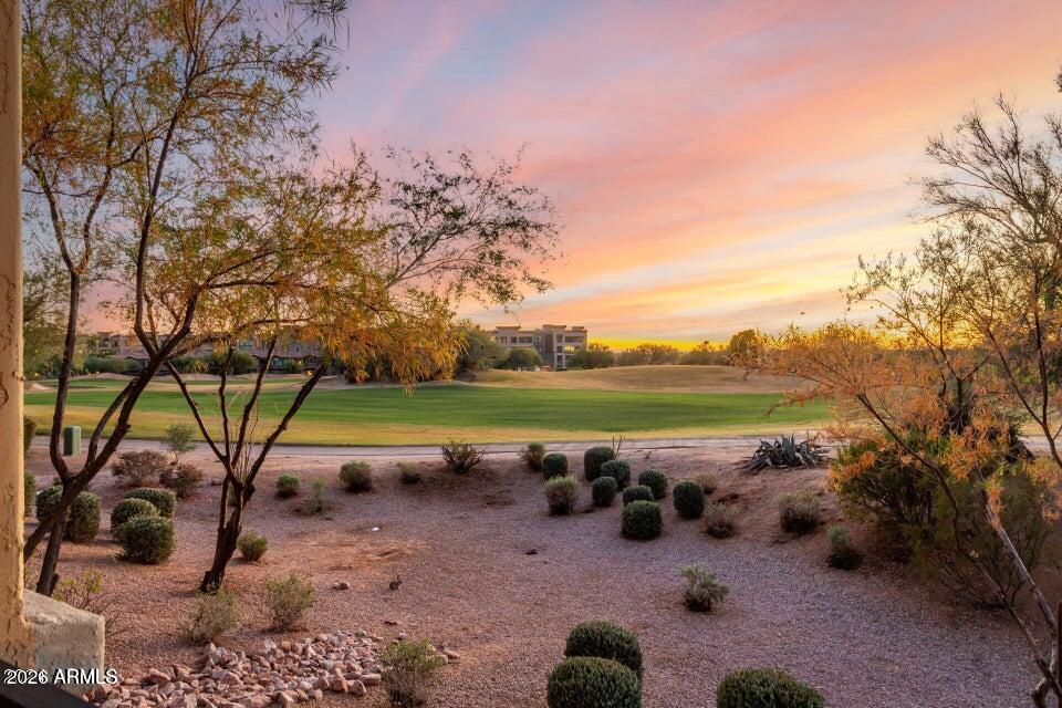 21320 N 56TH Street 1157