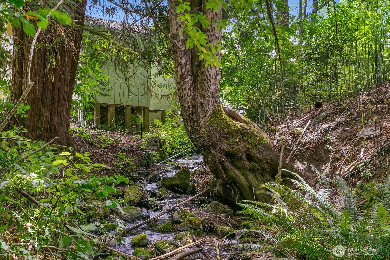 4177 State Highway 3 W