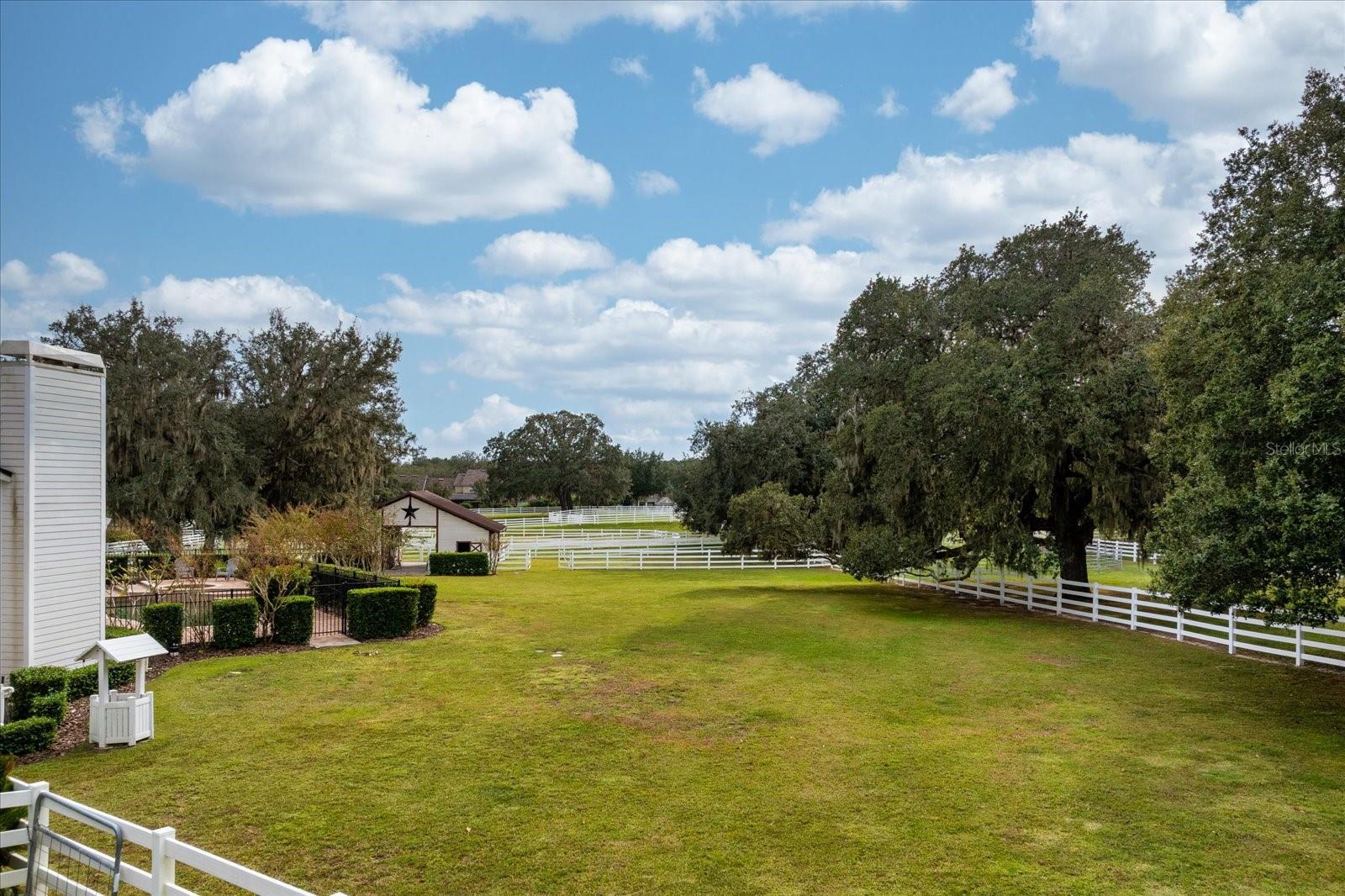 401 KENTUCKY BLUE CIR