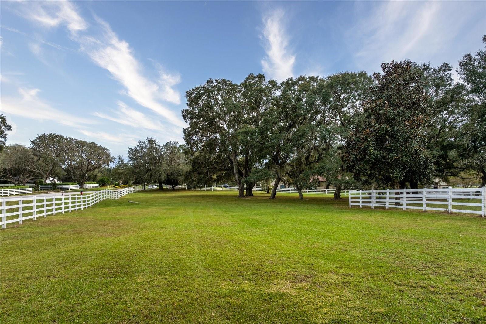 401 KENTUCKY BLUE CIR