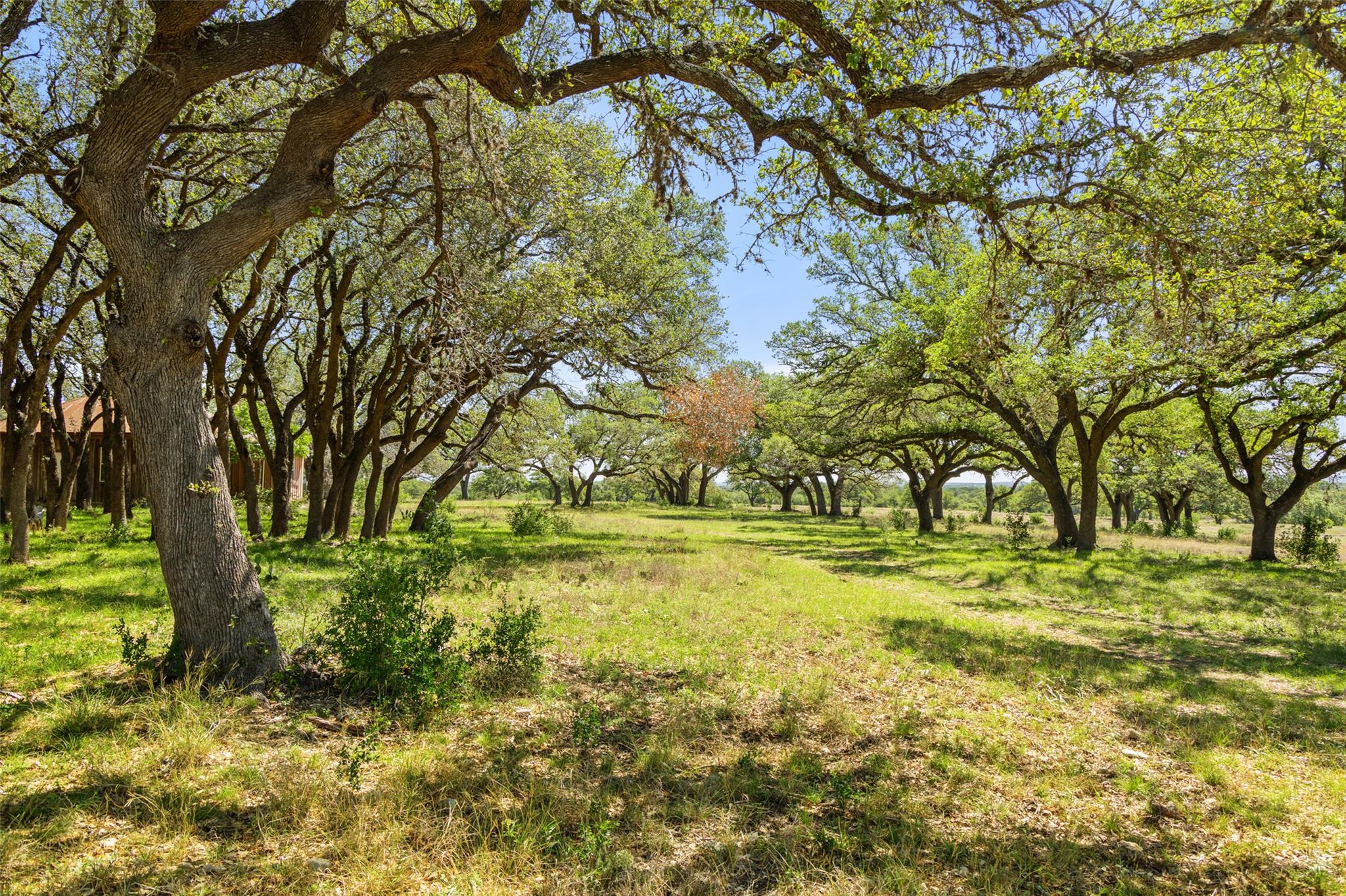 1318 Klett Ranch RD