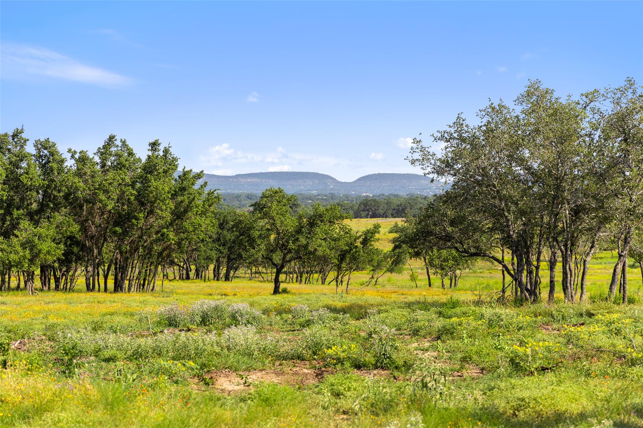 1318 Klett Ranch RD