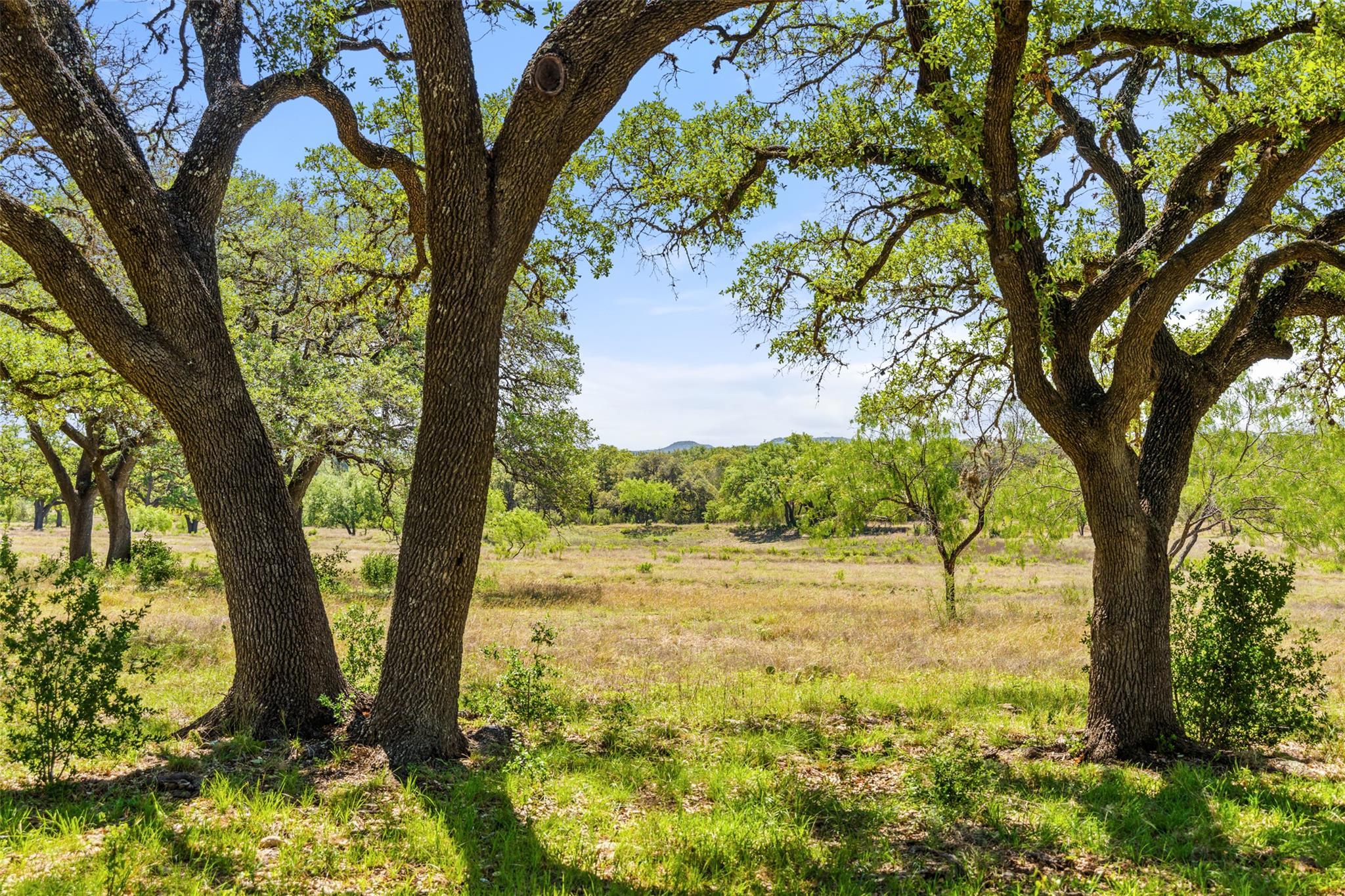 1318 Klett Ranch RD