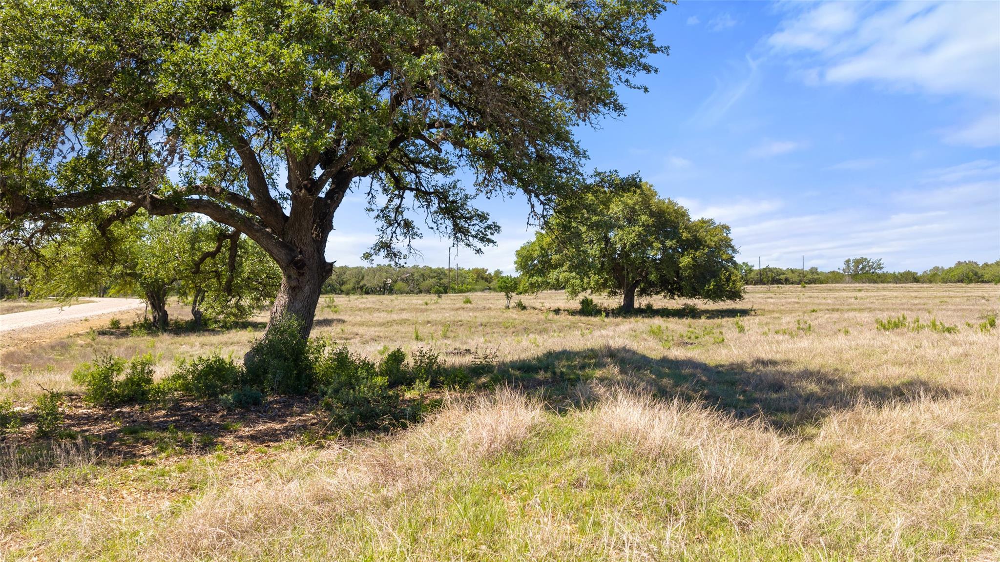 1318 Klett Ranch RD