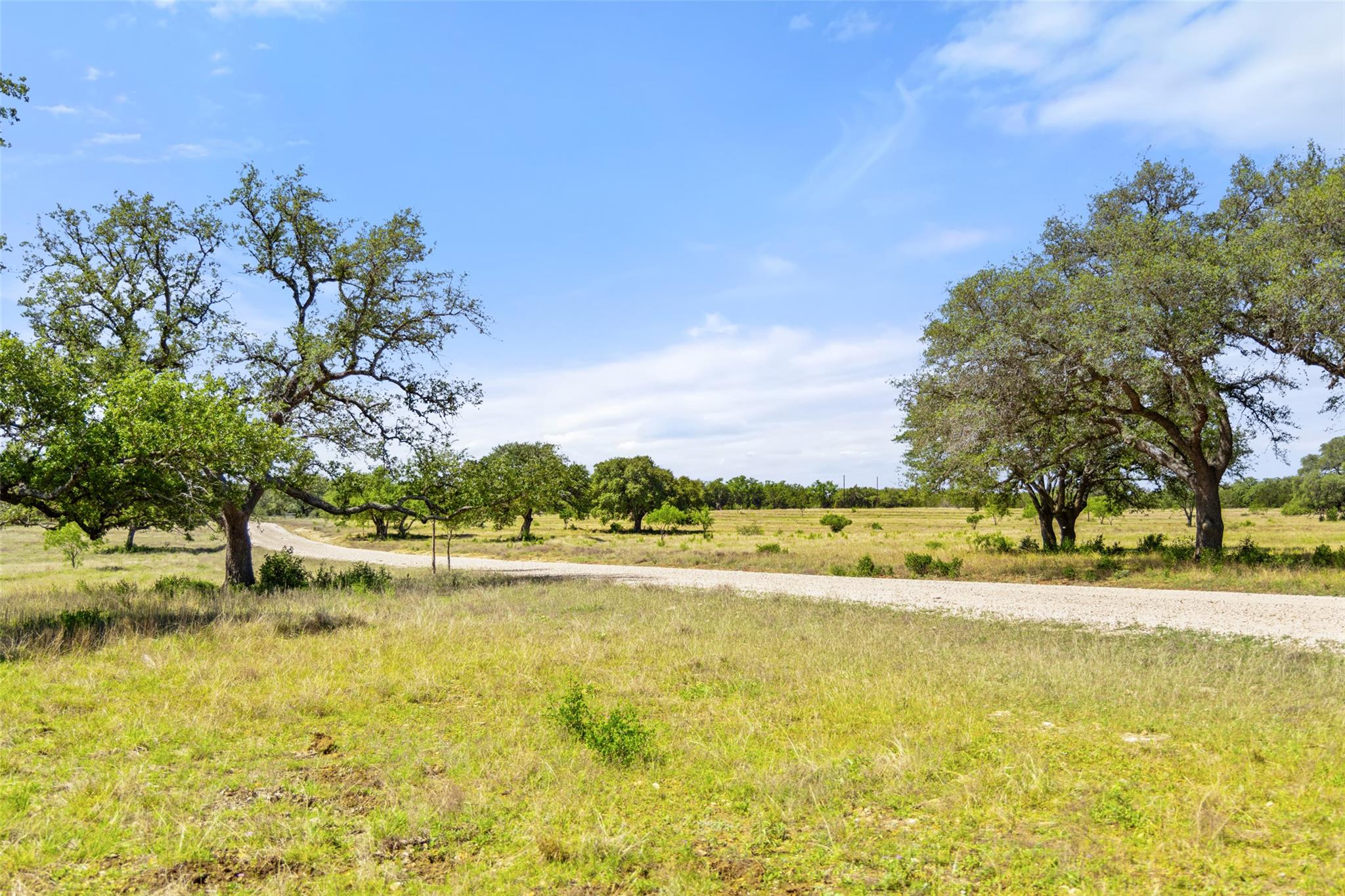 1318 Klett Ranch RD