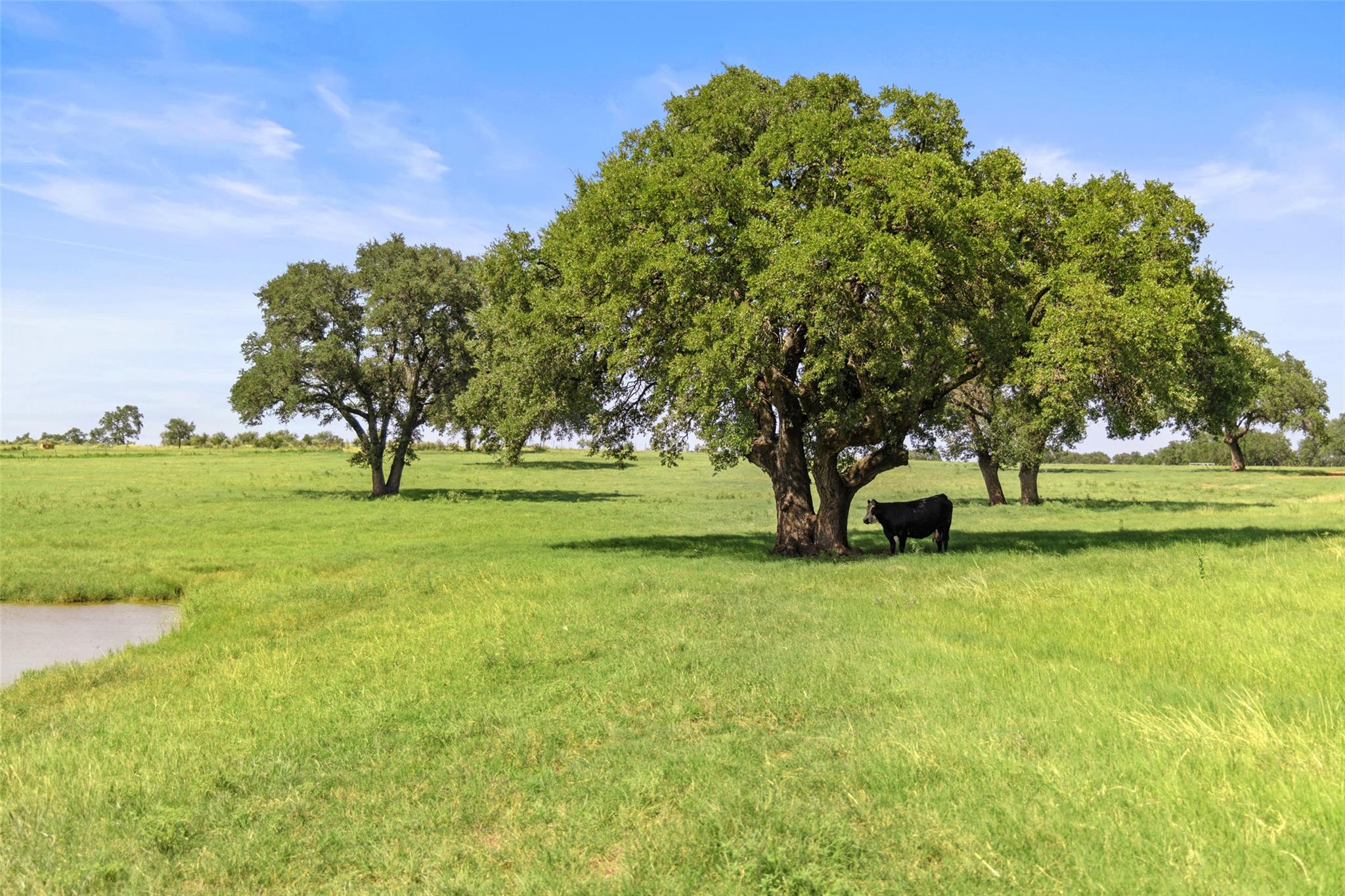 4529 Ranch Road 3347