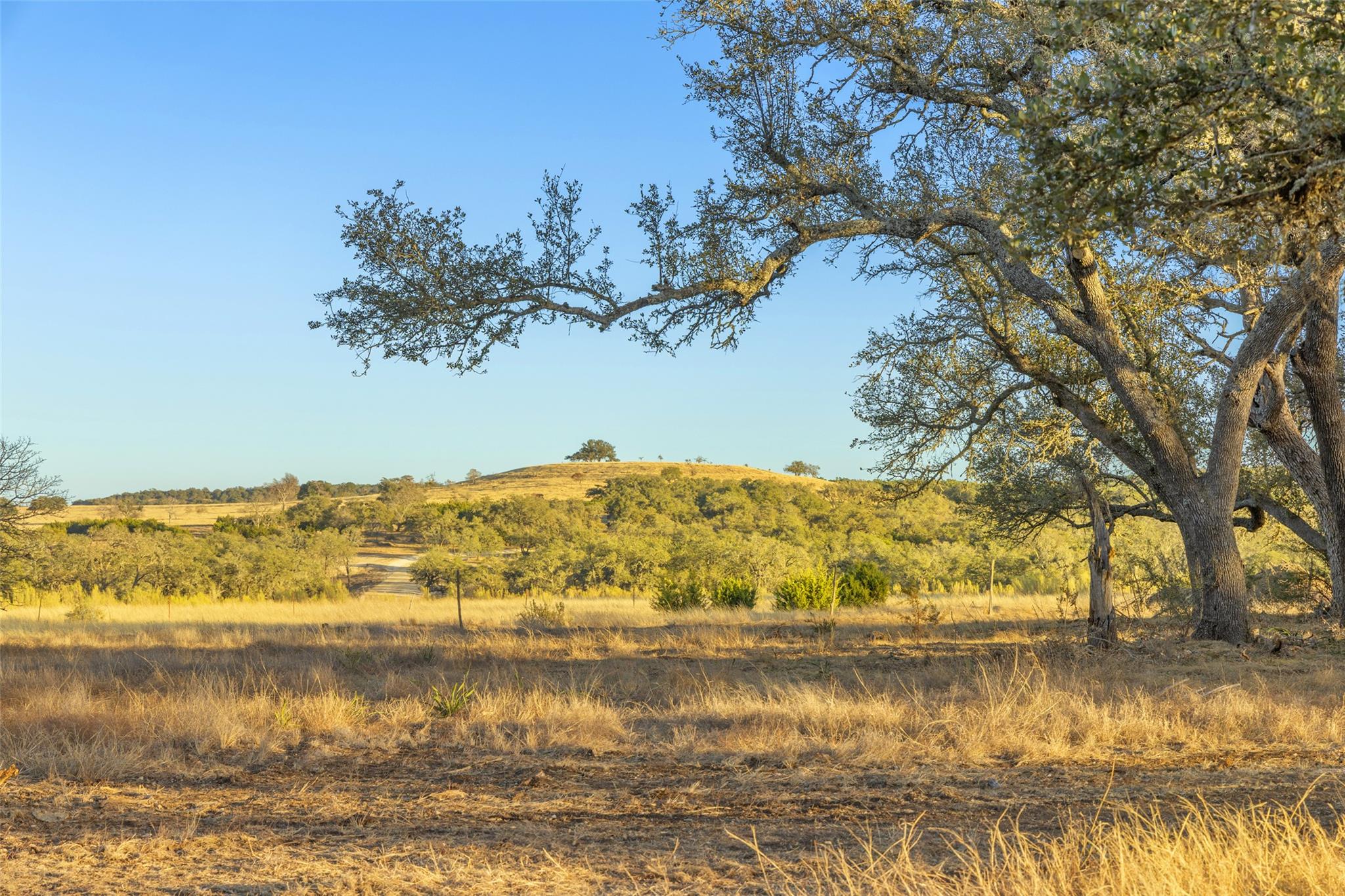 TBD Terra Rosa LN