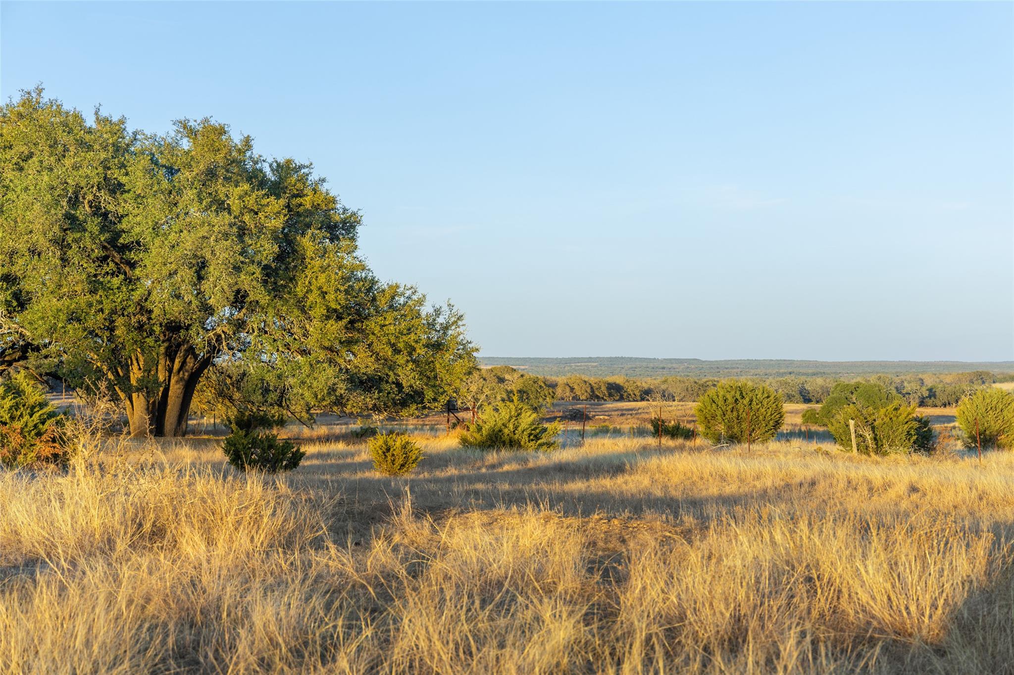 TBD Terra Rosa LN
