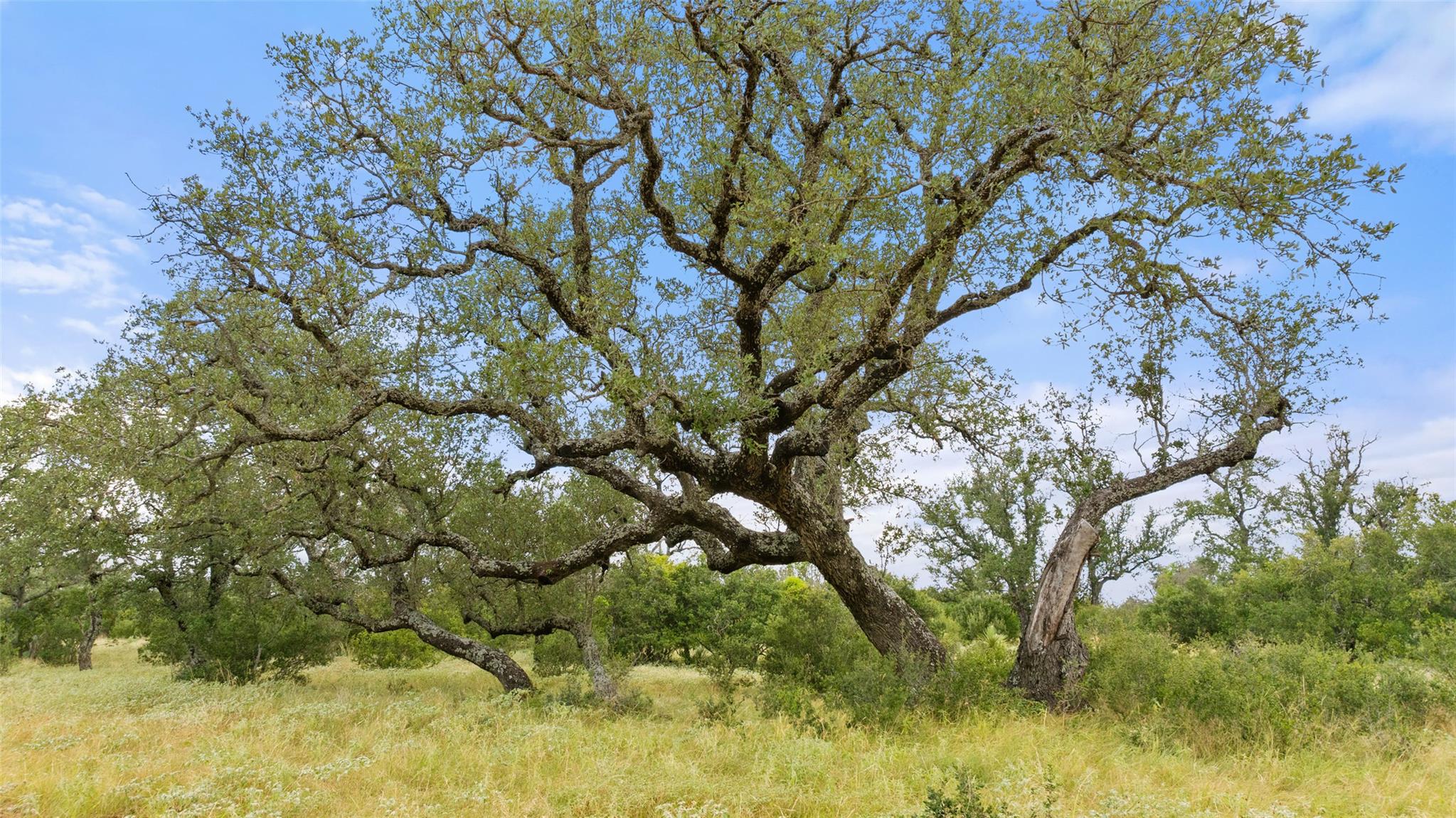 Lot 37 Vista Ridge DR