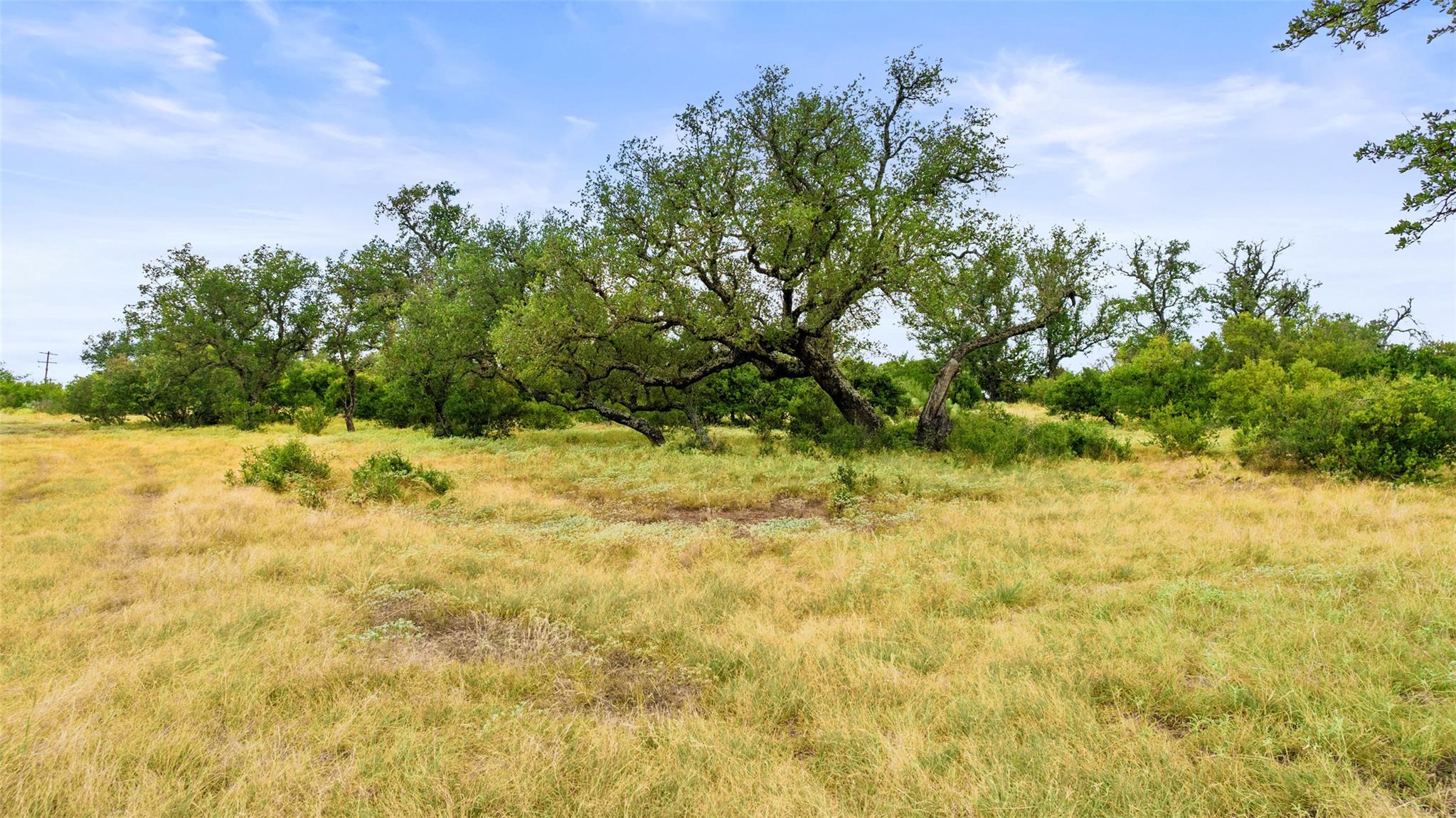 Lot 37 Vista Ridge DR
