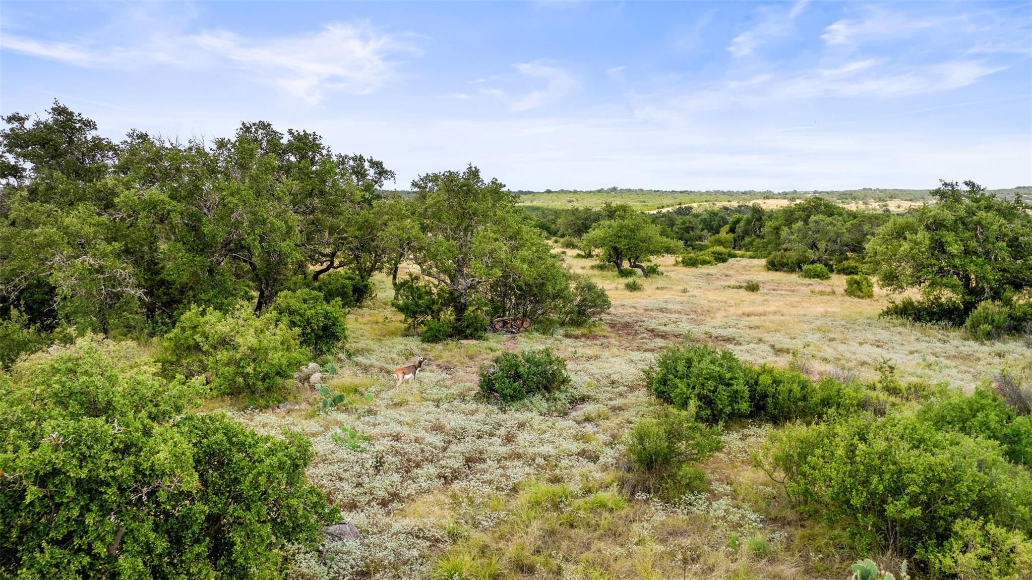 Lot 37 Vista Ridge DR