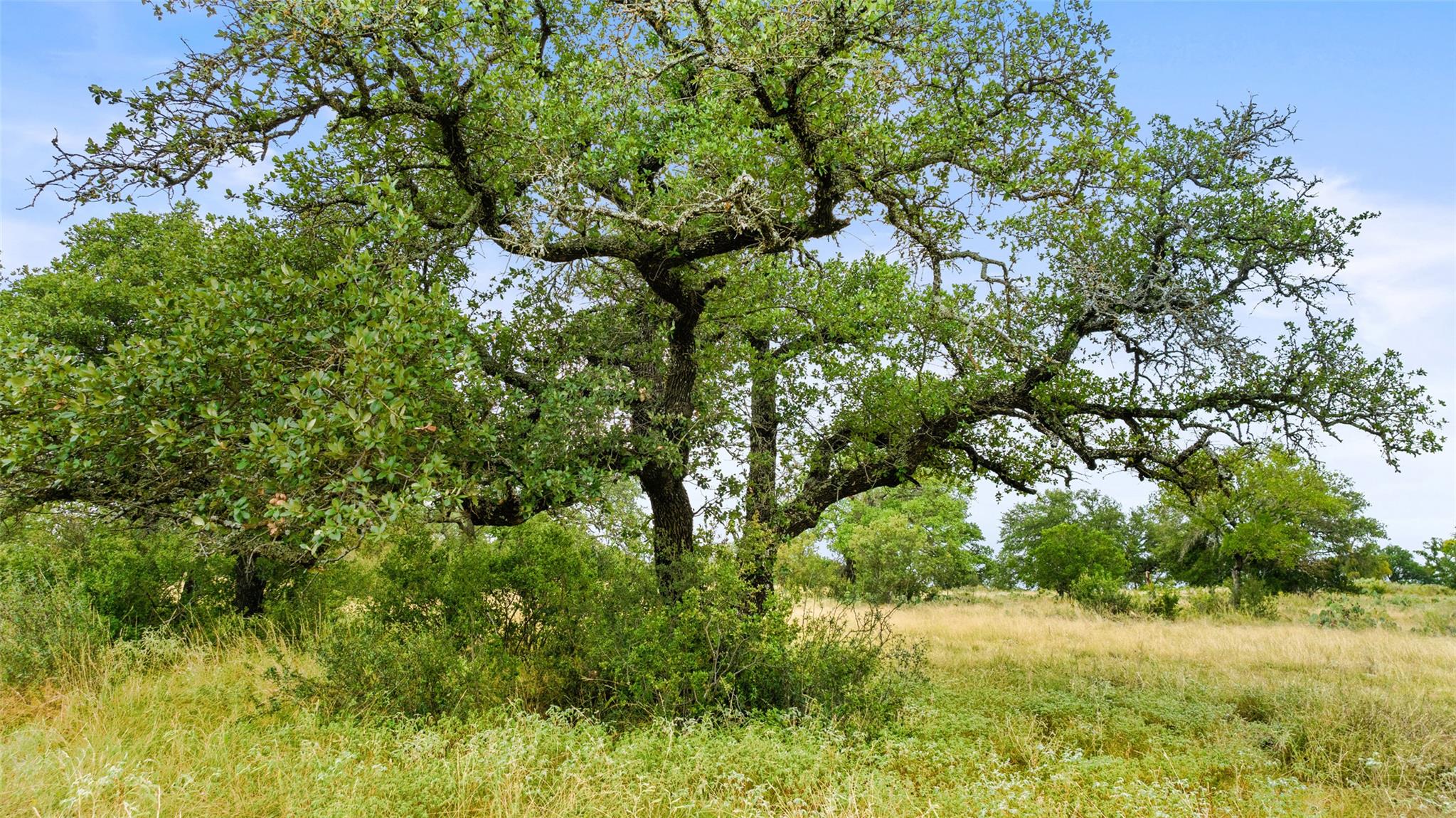 Lot 37 Vista Ridge DR