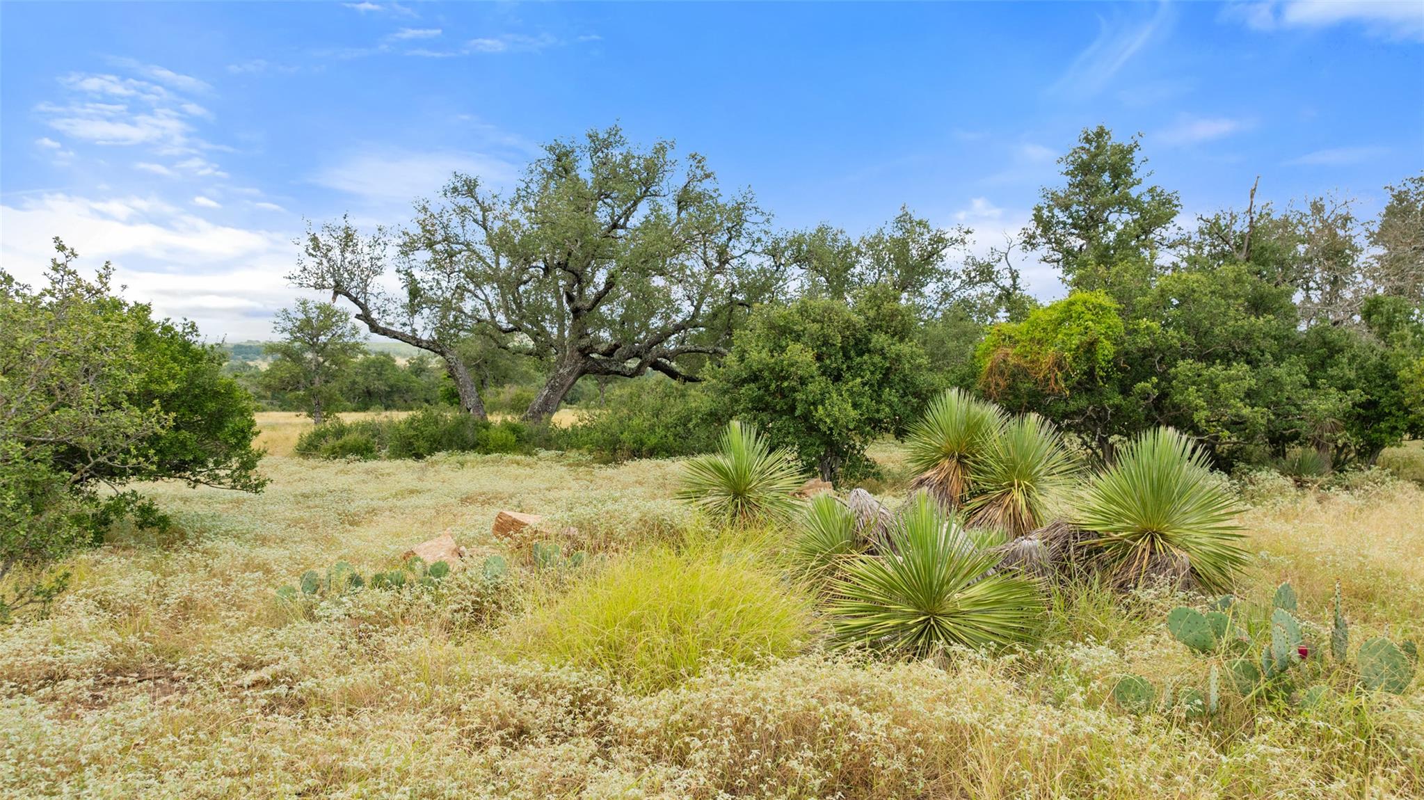 Lot 37 Vista Ridge DR