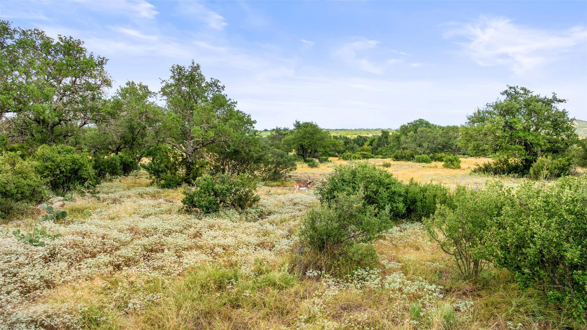 Lot 37 Vista Ridge DR