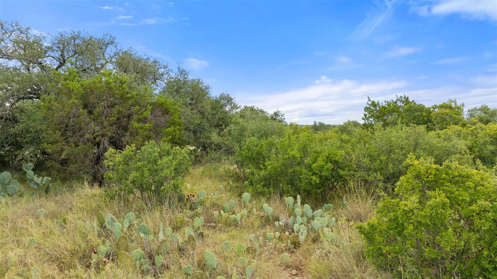 Lot 37 Vista Ridge DR
