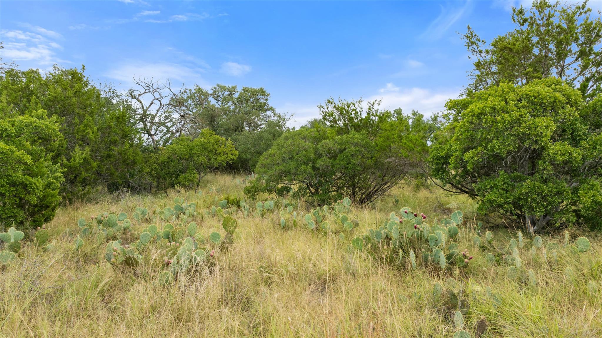 Lot 37 Vista Ridge DR