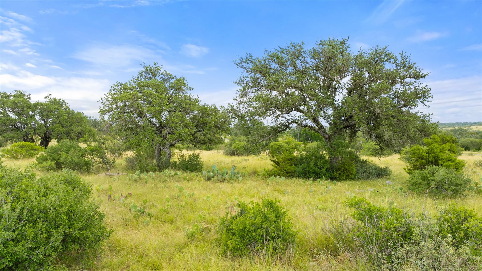 Lot 37 Vista Ridge DR