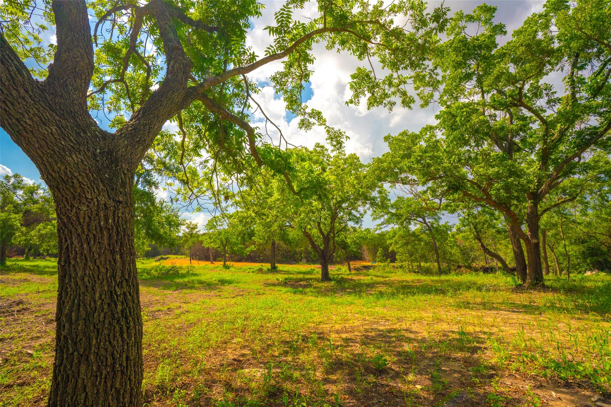 0 Spring Haven Ranch