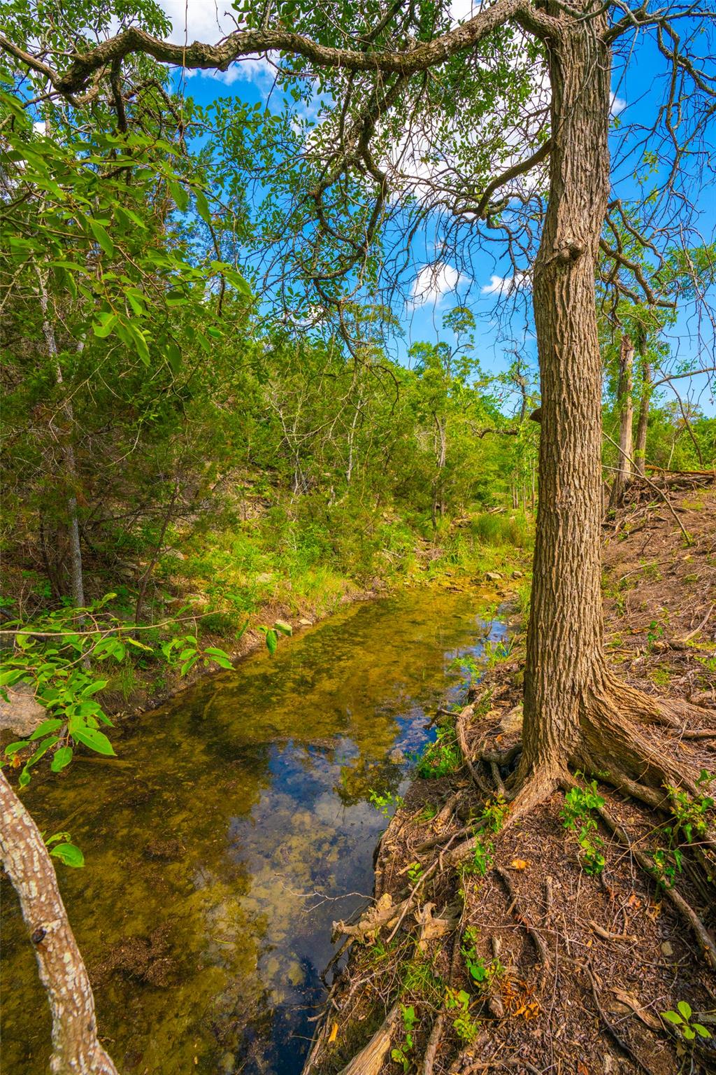 0 Spring Haven Ranch