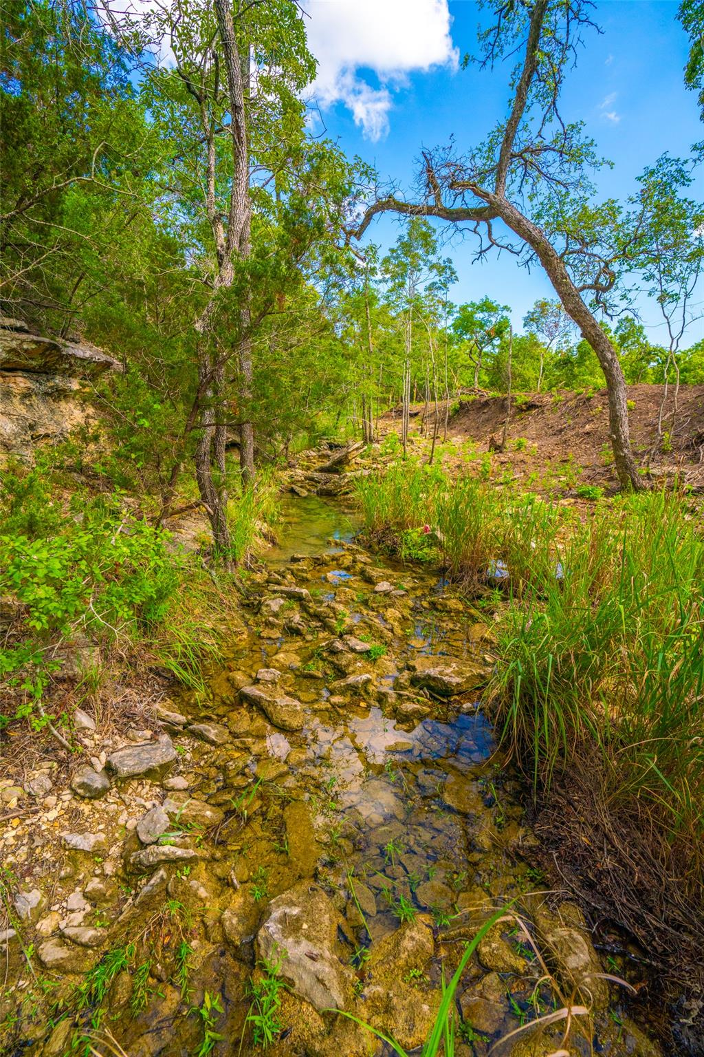 0 Spring Haven Ranch
