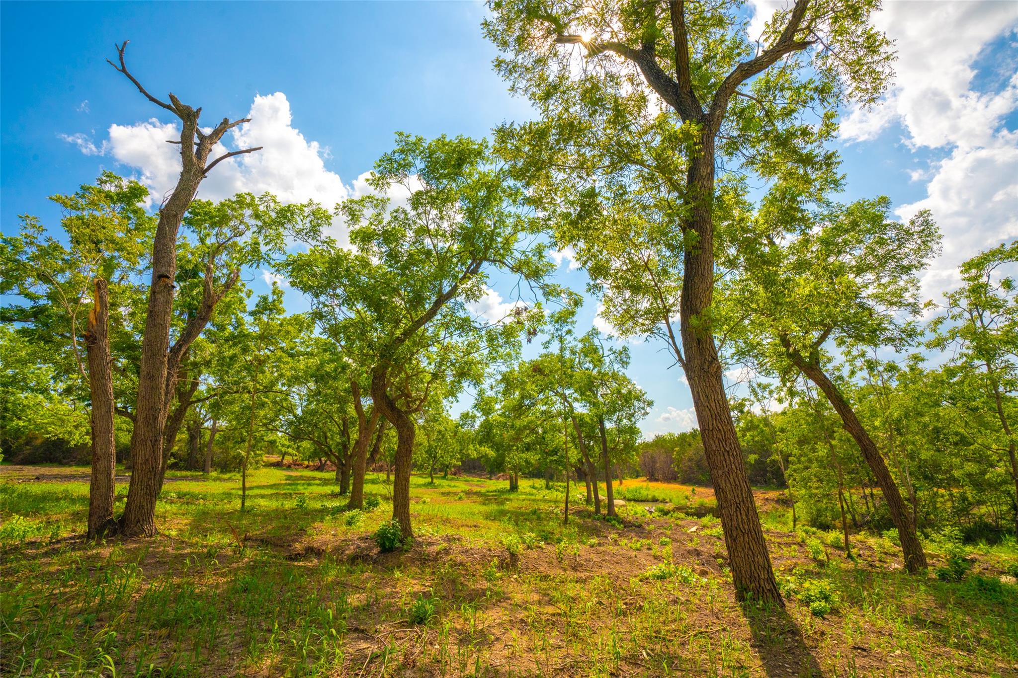 0 Spring Haven Ranch