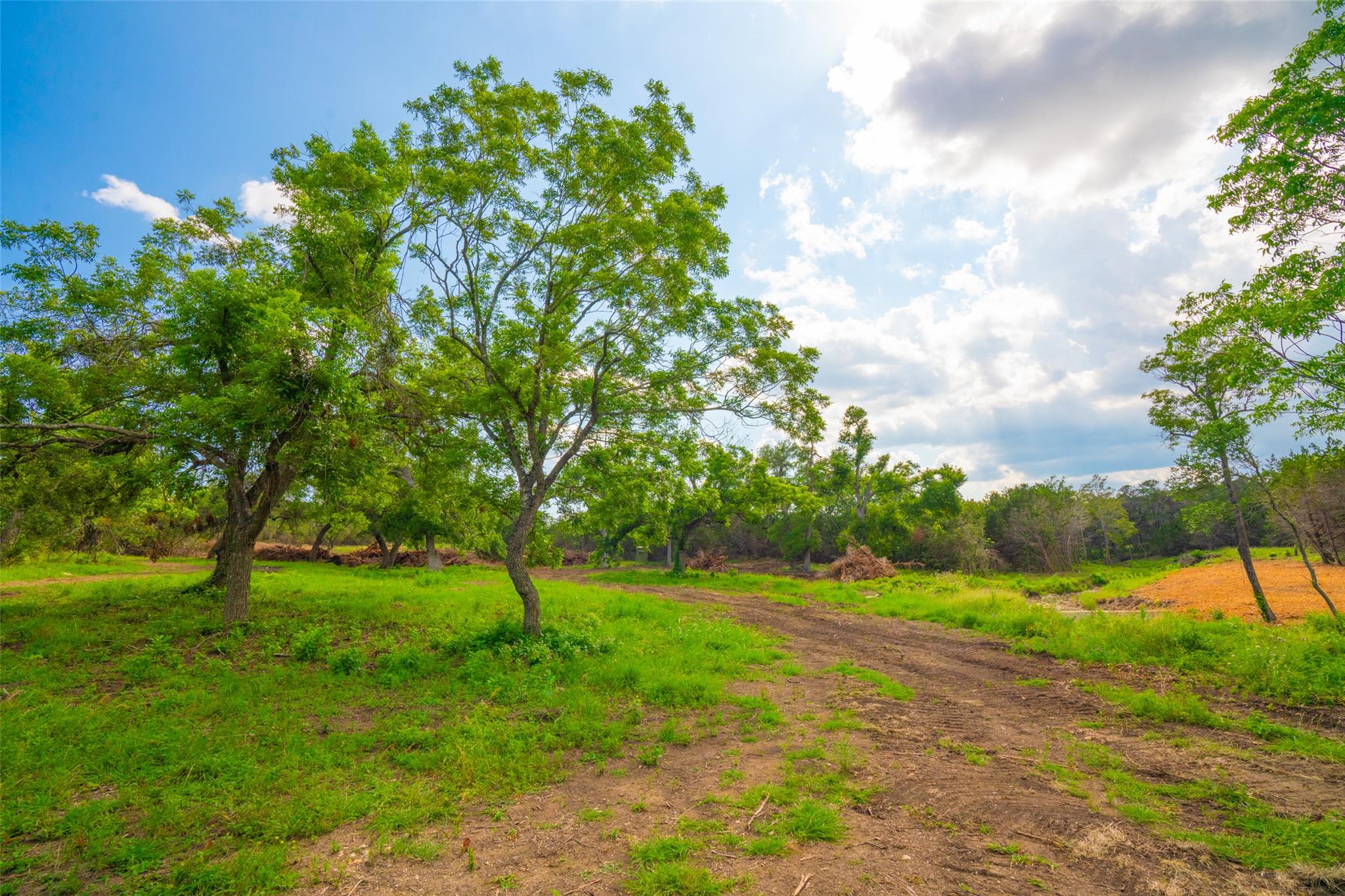 0 Spring Haven Ranch