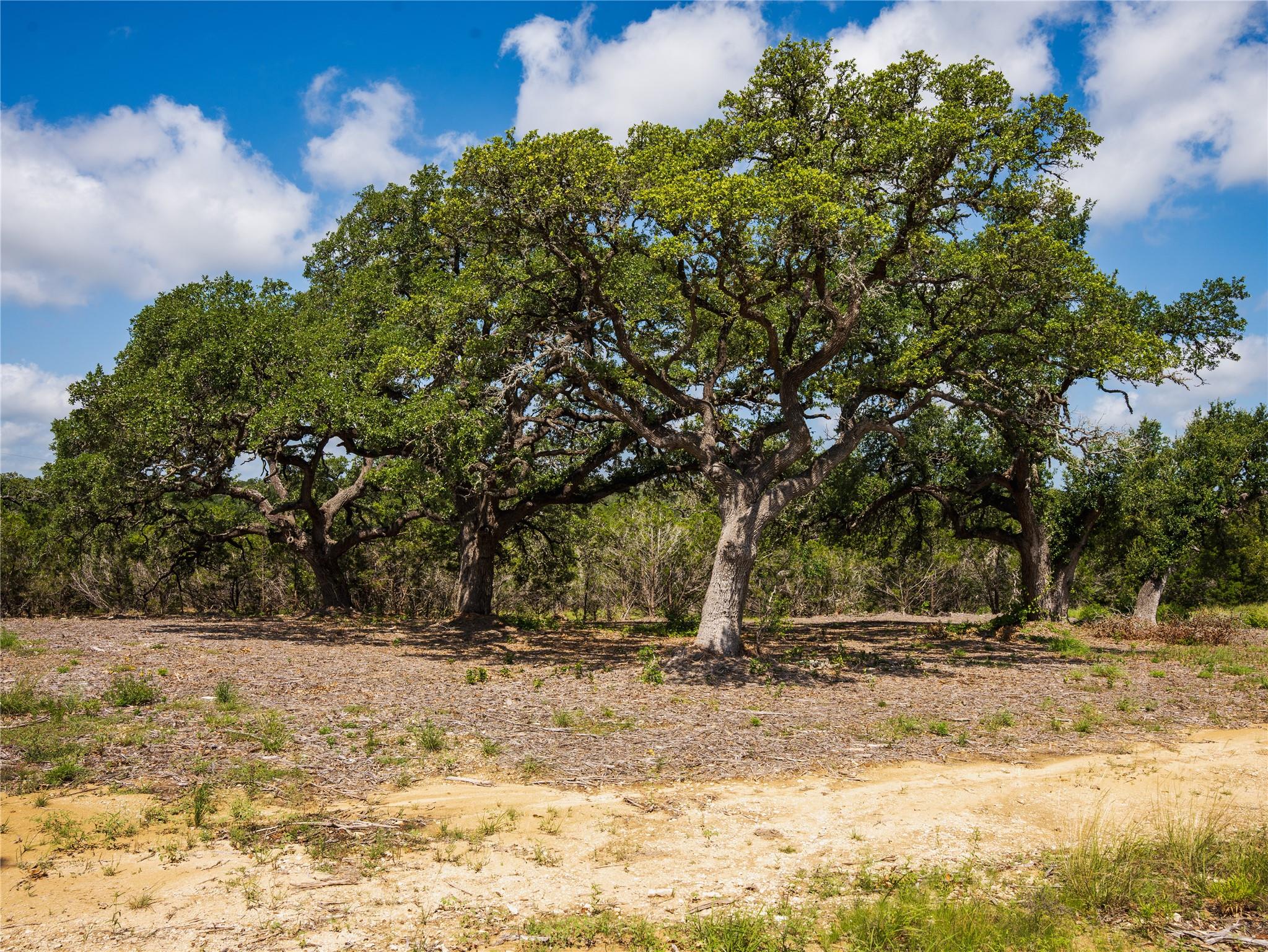 000 Heritage Creek Ranch