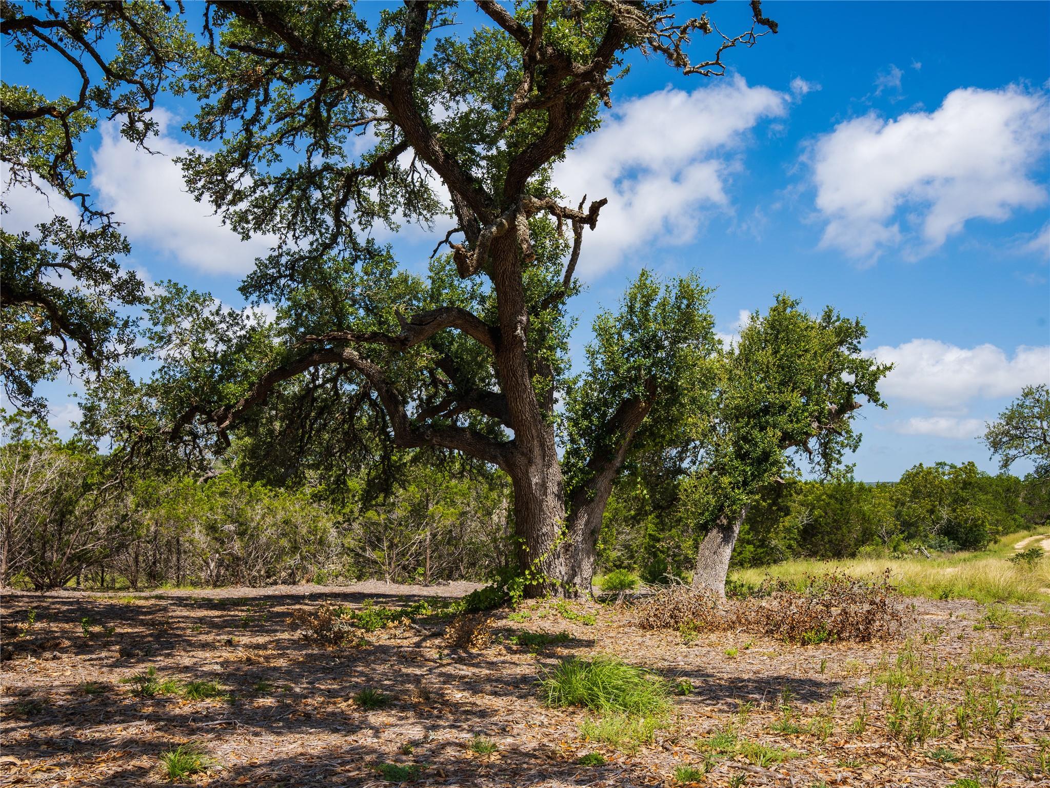 000 Heritage Creek Ranch