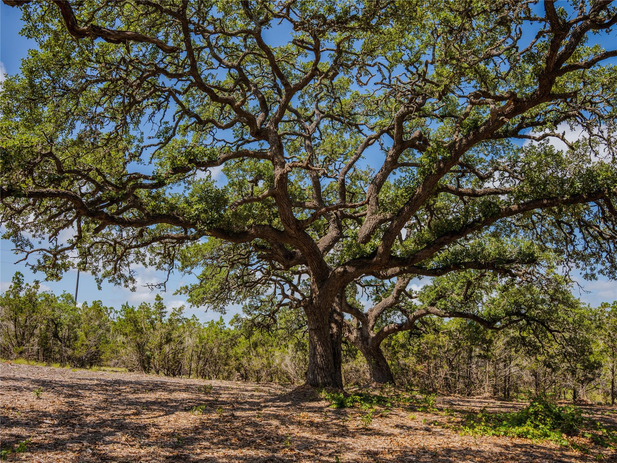 000 Heritage Creek Ranch