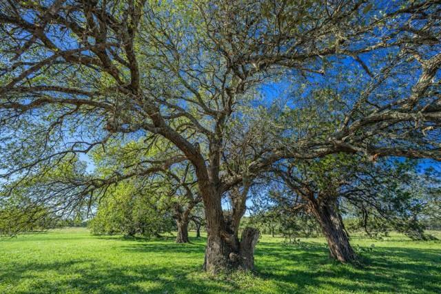 Tract 2 County Road 340