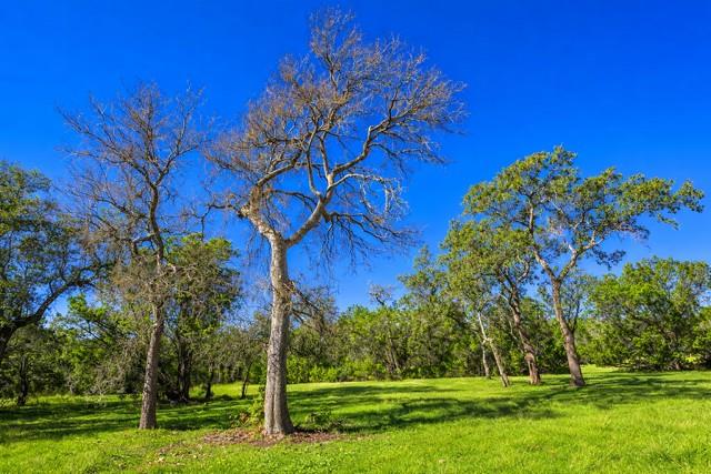 Tract 2 County Road 340